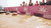 MuddyAngelRun hindernislauf mudrun schlamm muddyangelrun GIF