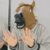 Horse Wow GIF
