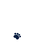 Hoyas Hoya Saxa Sticker by Georgetown University