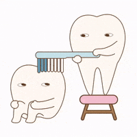 Cleaning Brushing GIF by dental_sozai