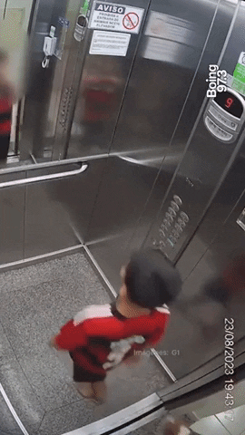 cuteanimalland giphyupload GIF