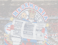 Esporte Clube Bahia GIF by Amanda Brandão