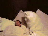 heyy GIF