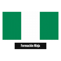Flag Bandera Sticker by Formación Ninja