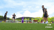 barcelona brazil GIF