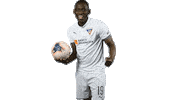Gol Sticker by LDU_Oficial
