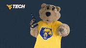 Number One Yes GIF by WVU Tech Golden Bears