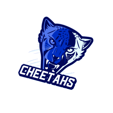 HellcatsCheer cheetahs hellcats cheerleaders hellcats cheer hellcatscheer Sticker