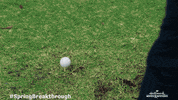 Hallmark Channel Golf GIF by Hallmark Mystery