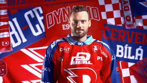 Robert GIF by HC Dynamo Pardubice