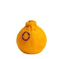Food Orange Sticker by sumocitrus