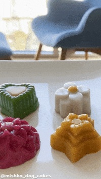 mishkacakes mishka GIF
