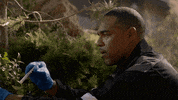Station 19 What GIF by ABC Network