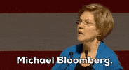 Elizabeth Warren GIF by Election 2020