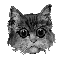 Black And White Reaction Sticker by Colin Raff