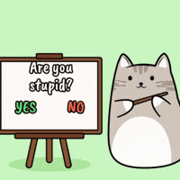 Are You Stupid Yes Or No GIF by MESA My Emotional Support Animal