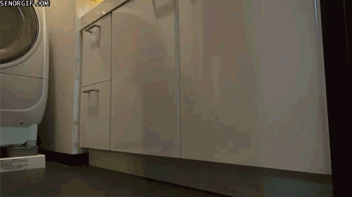wait for it cat GIF by Cheezburger