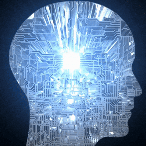 GIF by Pillai