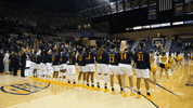 utrockets sports sport rocky rockets GIF