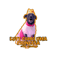Dog Smile Sticker