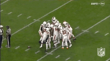 Regular Season Football GIF by NFL