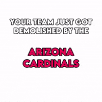 Arizona Cardinals Football GIF