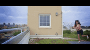 nyc flying GIF by Scout Durwood