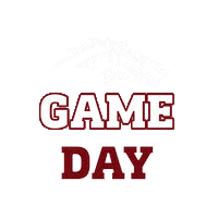 Mside Sticker by Morningside University