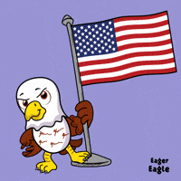 American Usa GIF by VeeFriends