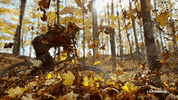 Mountain Biking Fall GIF by Outside TV