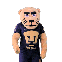 Football No Sticker by Pumas MX