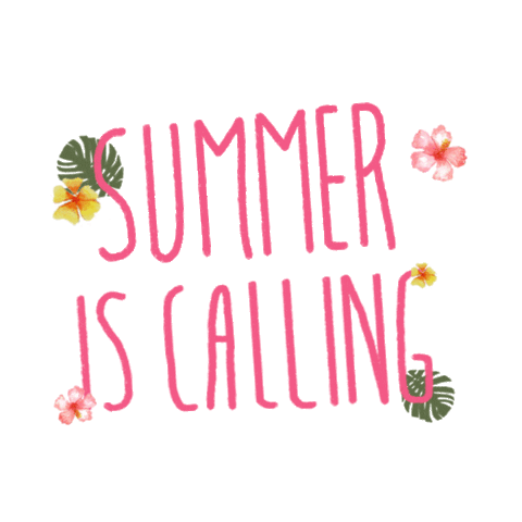 hijabchicpink giphyupload hijabchicpink summer is calling Sticker