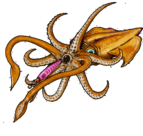 Squid Calamar Sticker by Yuki Competition