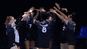 Vamos United GIF by Volleyball World