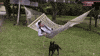 GIF by Mashable