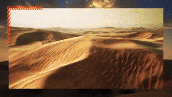 WRC Rally Saudi Arabia 2025
