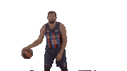 Liga Endesa Spinning Sticker by ACB