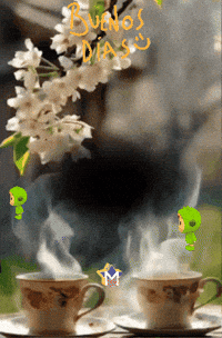Salud Flores GIF by Murcianys LLC