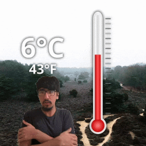 6 °C