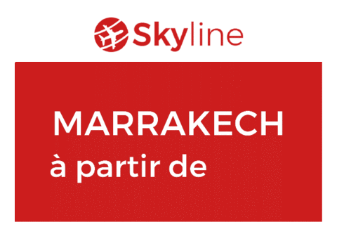 skyairline Sticker by Skyline Airways
