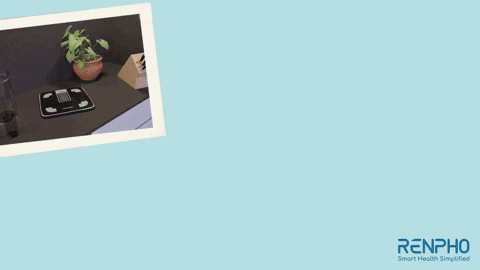 Fitness 3D GIF by RENPHO