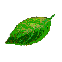 Leaf Leaves Sticker by Hunter