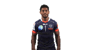 Rugby Rebels Sticker by melbournerebels