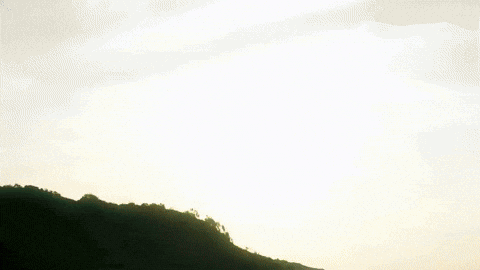 Nil GIF by hubcollage