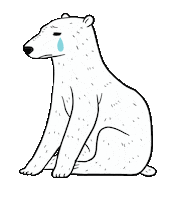 Polar Bear Sticker