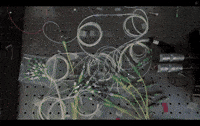 Working Locked In GIF by Nokia Bell Labs
