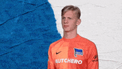 Football Sport GIF by Hertha BSC