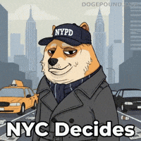 Judging New York City GIF by Doge Pound