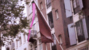 GIF by Pulitzer Amsterdam