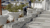 Skateboarding Go Skate Day GIF by KING OF THE ROAD